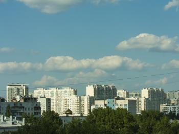IMG_1051.jpg