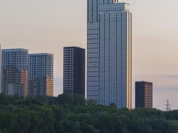 IMG_1113.jpg