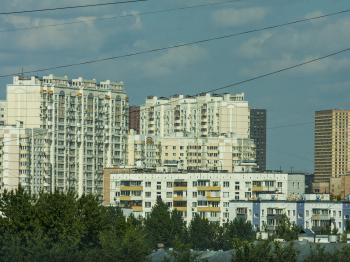 IMG_1041.jpg