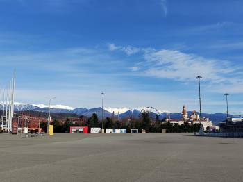 IMG_20240118_145033247.jpg