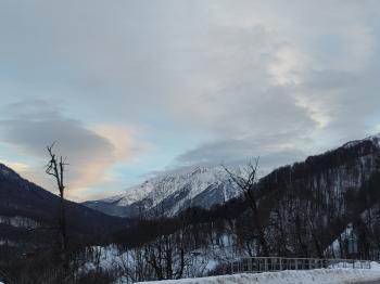 IMG_20240118_164802708.jpg