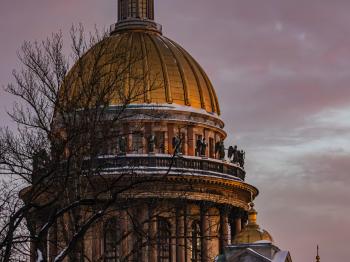 IMG_7954.jpg